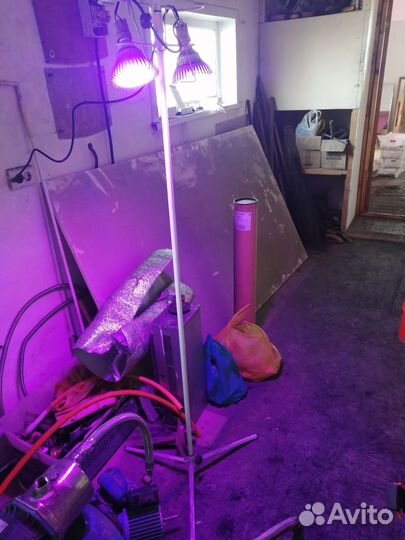 LED лампы для растений