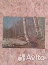 Картина (стереофото) из СССР