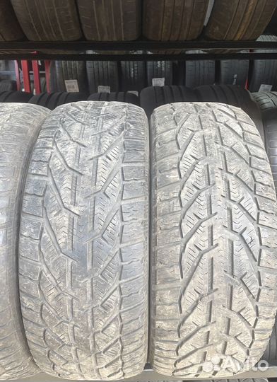 Tigar Winter 195/55 R15 92N