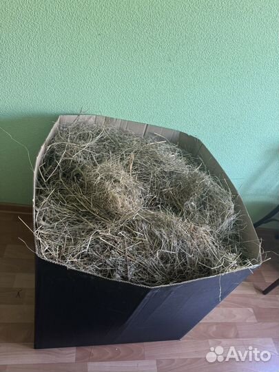 Сено 20.5кг
