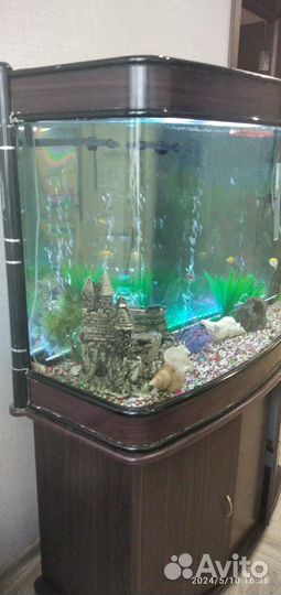 Аквариум