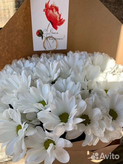 Хризантема кустовая. Букет цветов Вологда