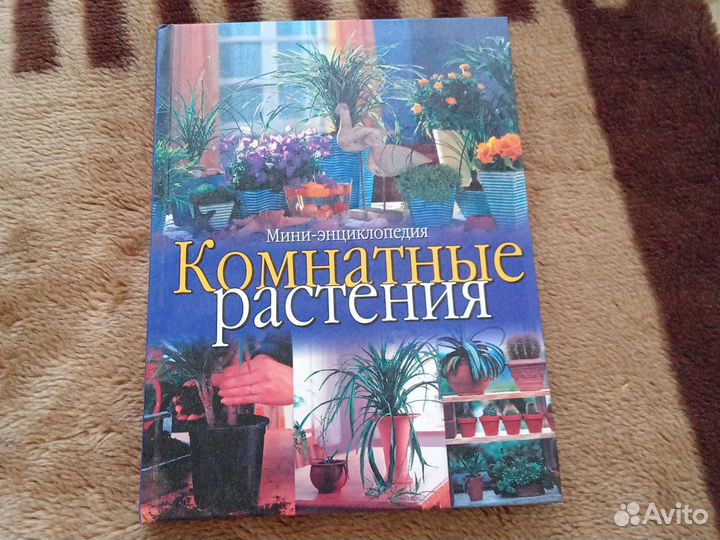 Книга Мини - энциклопедия Комнатные растения