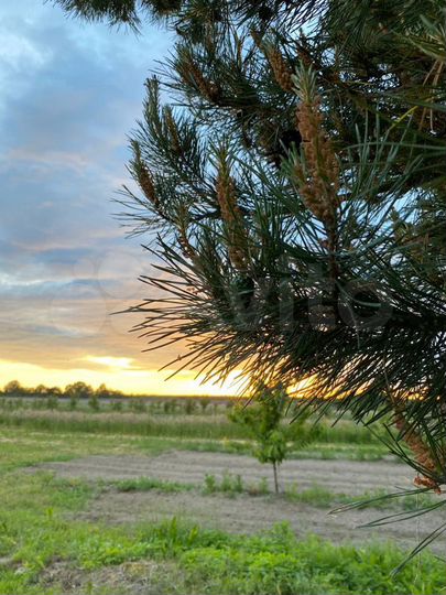 Участок 33,5 га (СНТ, ДНП)