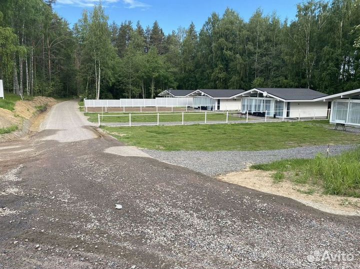 Качественный газон