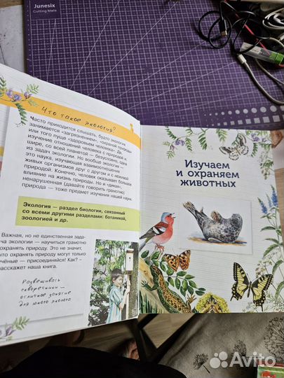 Энциклопедия юного эколога для детей