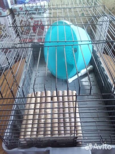 Клетка для грызунов,колесо, домик