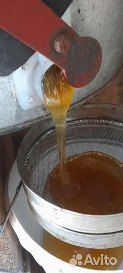 Мёд цветочный, прополис, прополисный холстик