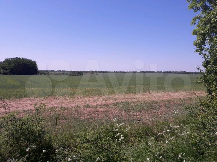 Участок 24 га (СНТ, ДНП)