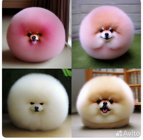 Контент менеджер удаленно