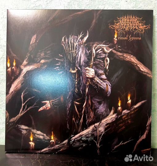 Worm Shepherd – Ritual Hymns 2022 - vinyl