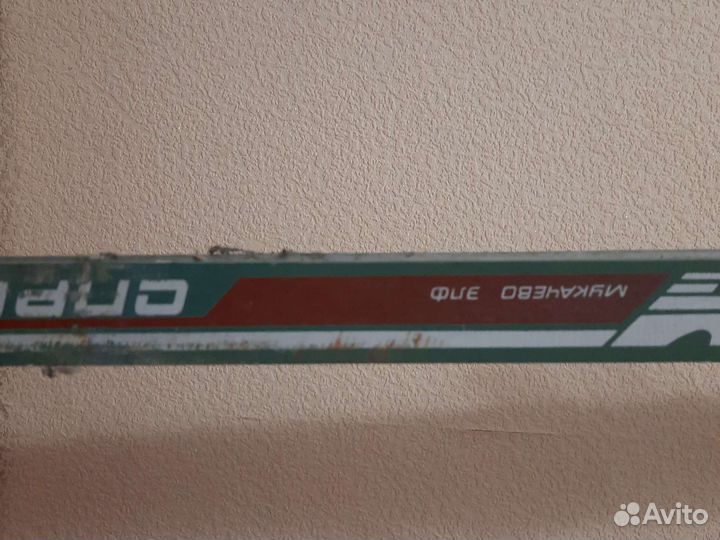 Лыжи пластик Спринт 205см и палки лыжные 170см