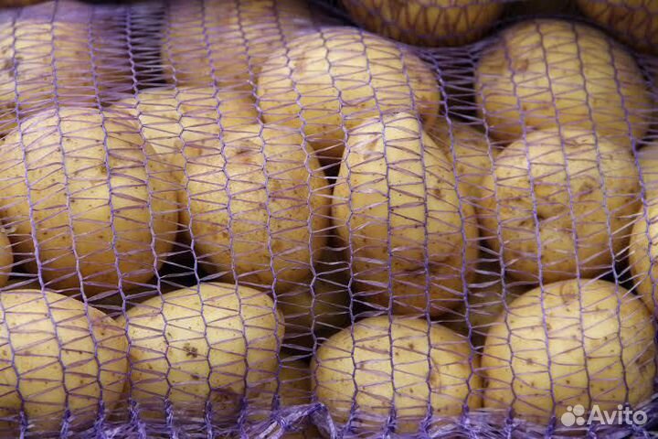 Доставка картофеля