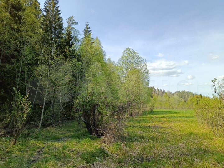 Участок 15 сот. (СНТ, ДНП)