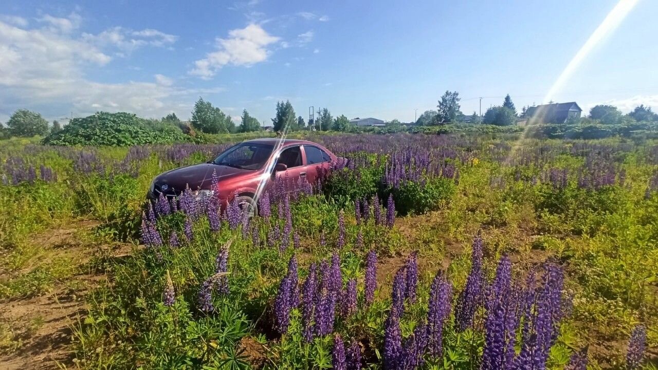 Nissan Almera: фото владельца