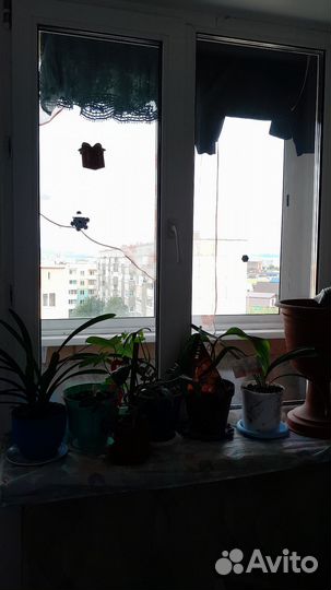 Продам окно и болконную дверь