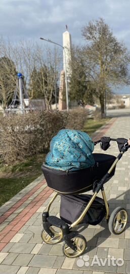 Коляска Adamex Reggio Special Edition