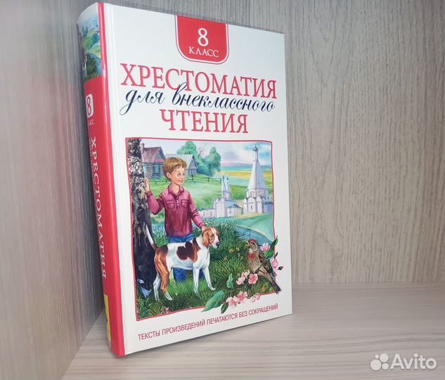 Хрестоматия для внеклассного чтения 8 класс