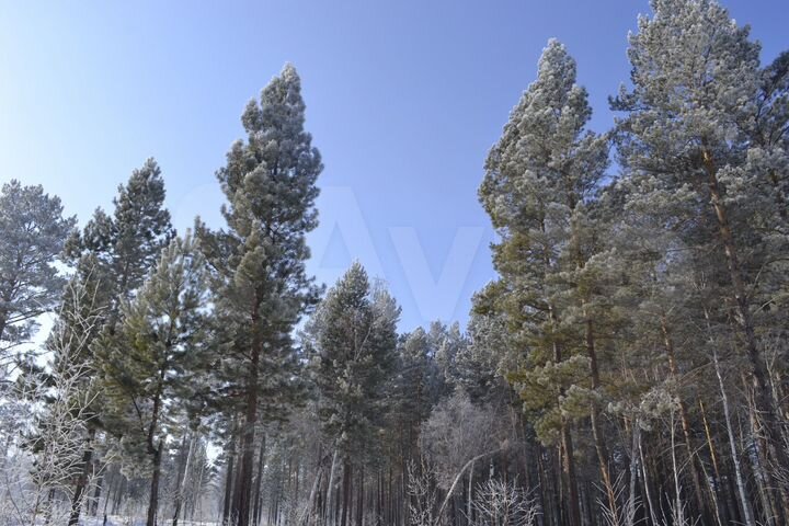 Участок 7 сот. (ИЖС)