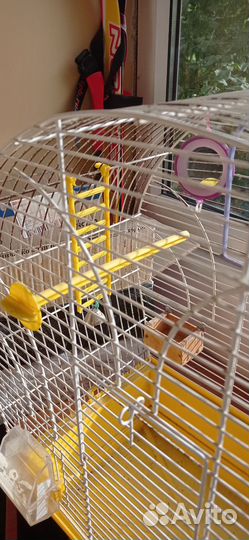 Клетка для попугая