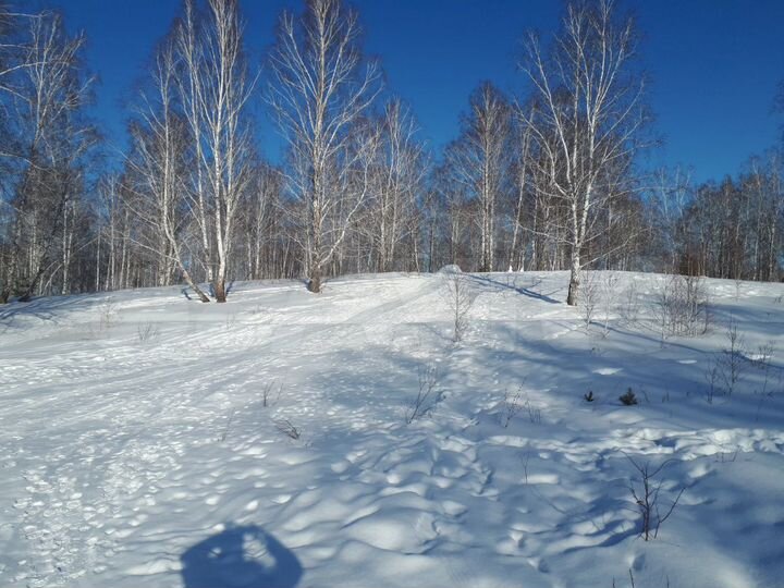 Участок 32 сот. (СНТ, ДНП)