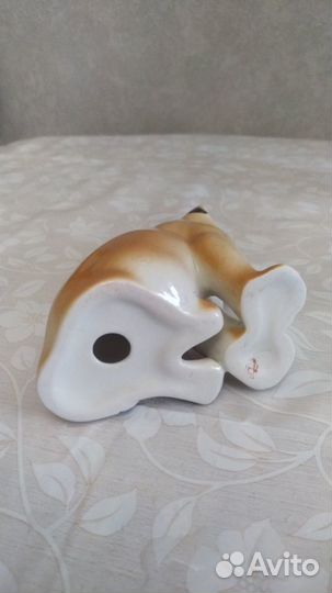 Львенок лфз