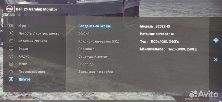 Монитор 244 гц