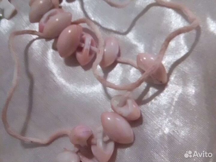 Камень ракушка