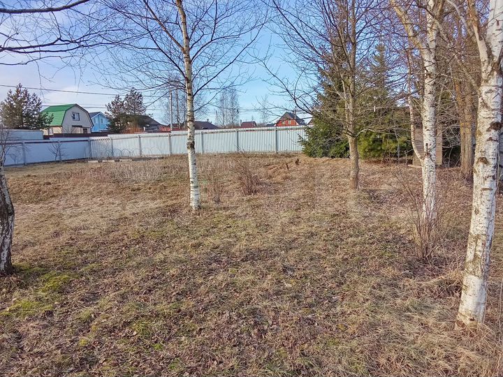 Участок 10 сот. (СНТ, ДНП)