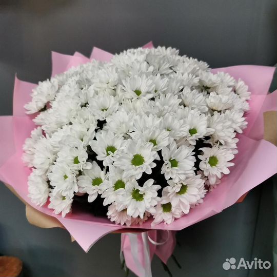 Букет из 15 кустовых хризантем