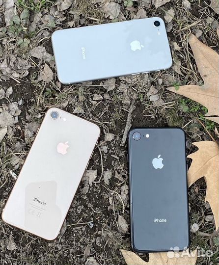 Оригинал iPhone 8 64gb