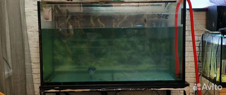 Аквариум на 800 литров