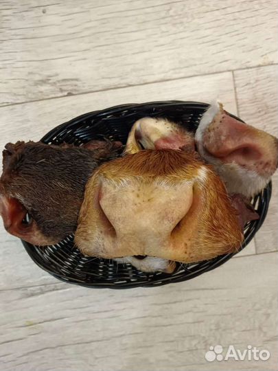 Сушеные лакомства