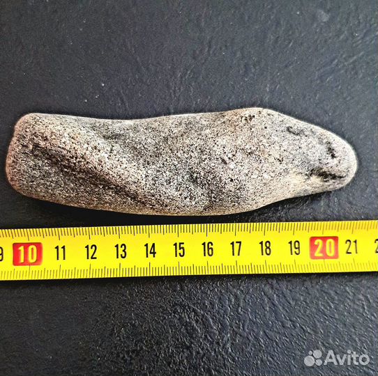 Голова окаменевшей рептилии Миллион лет назад