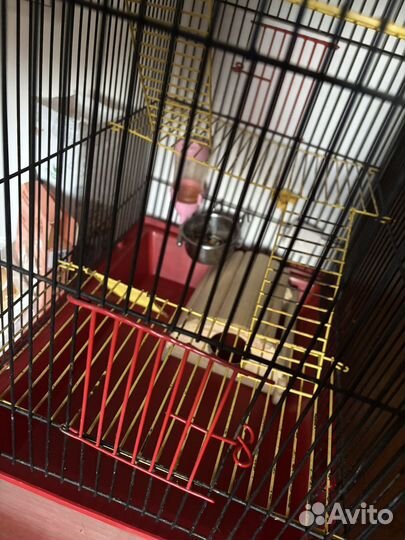 Клетка для грызунов