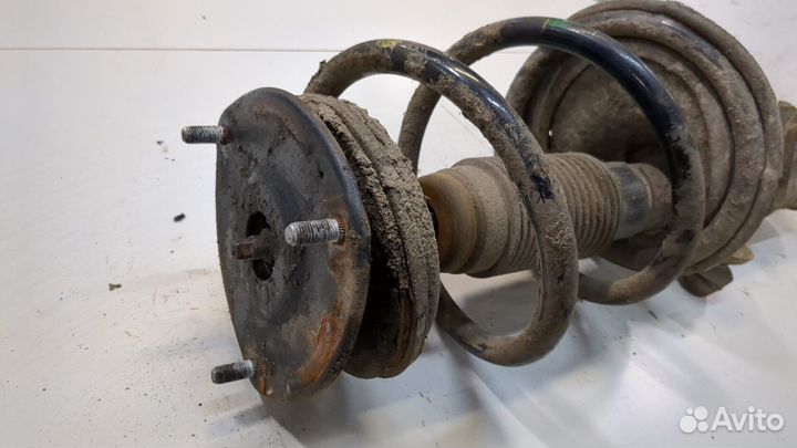 Амортизатор подвески правый передний Hyundai H-1 Starex