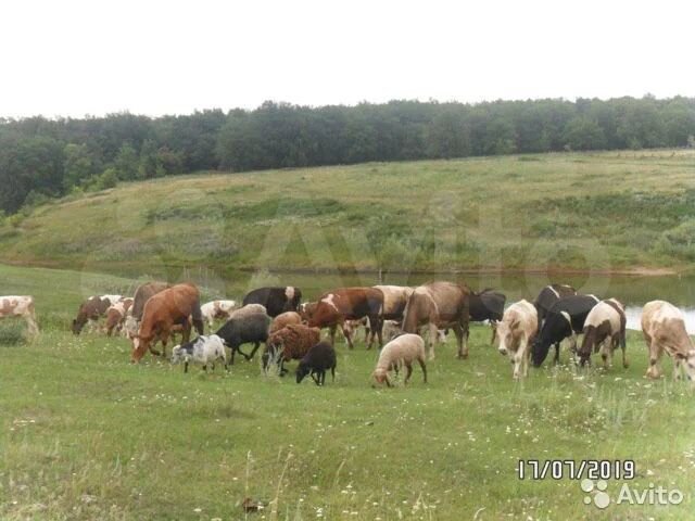 Дом 273 м² на участке 70 сот.