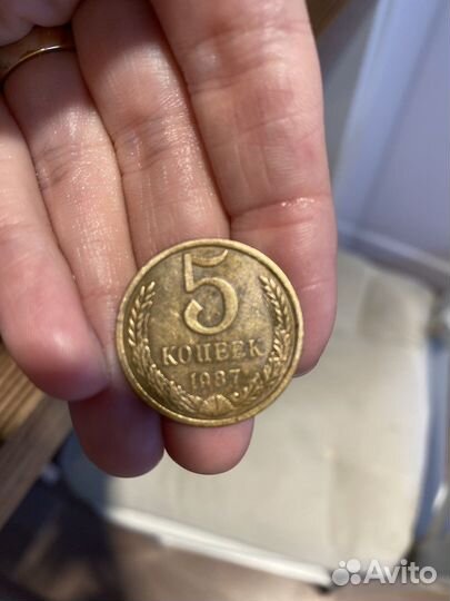 Продам монету 5 копеек 1987 года
