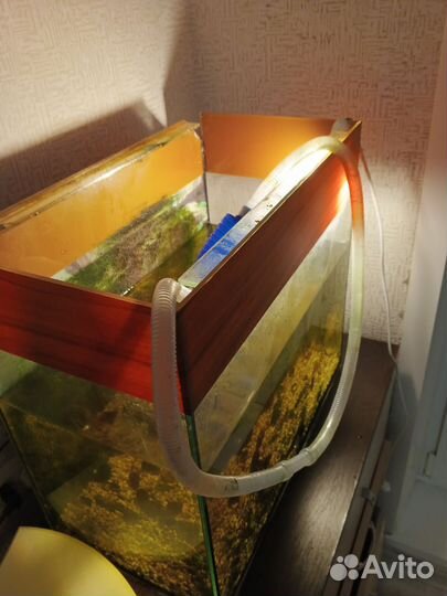 Аквариум 65л