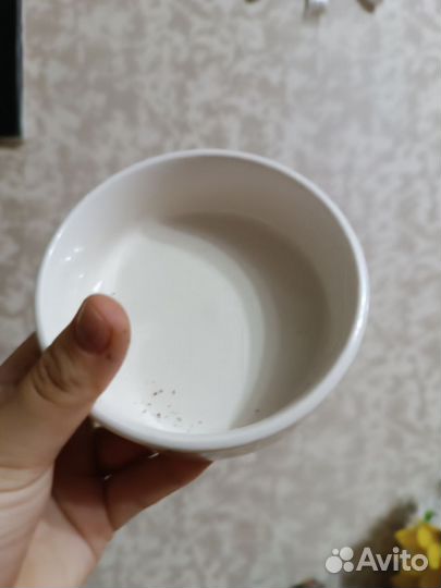 Миска для животных