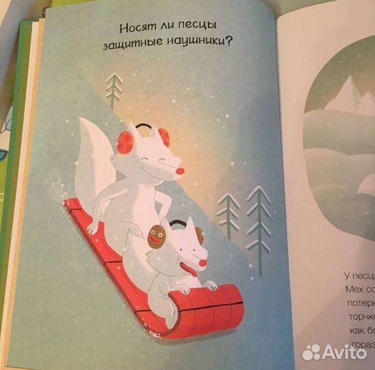 Пьют ли лягушки горячее какао Вилли Винки