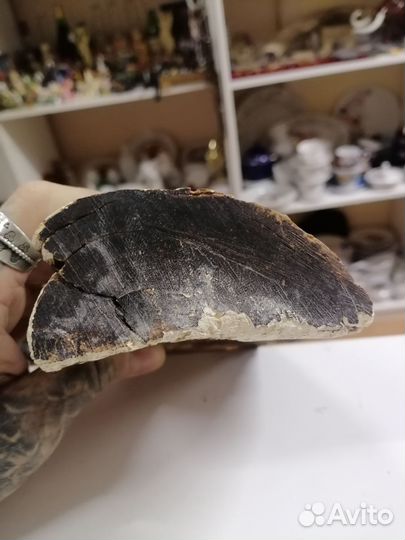 Бивень мамонта 936 гр