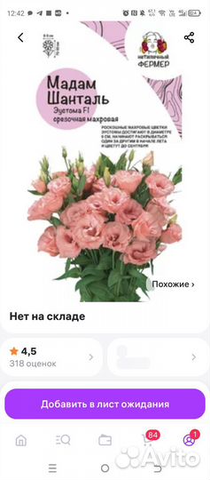 Цветы эустома