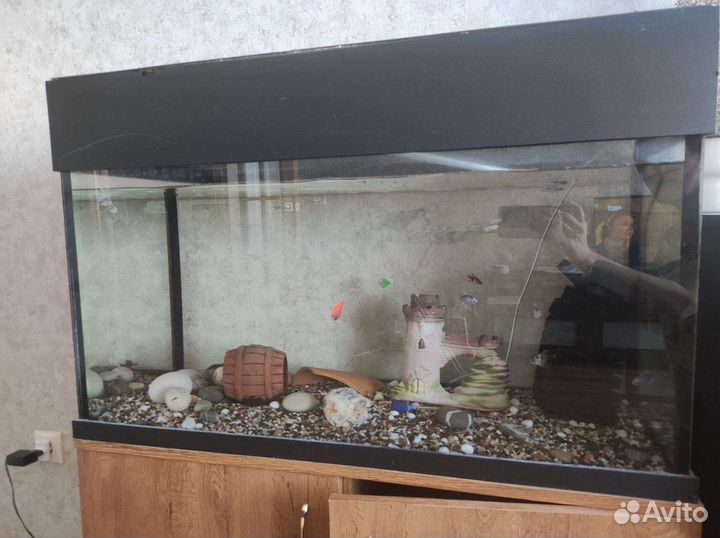 Аквариум