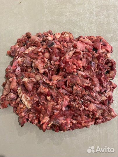 Обрезь для собак