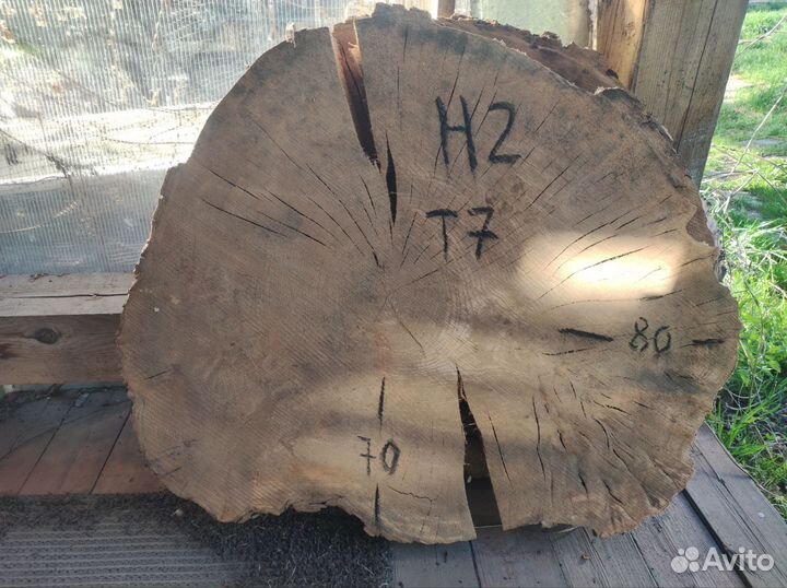 Спилы из дуба, карагача