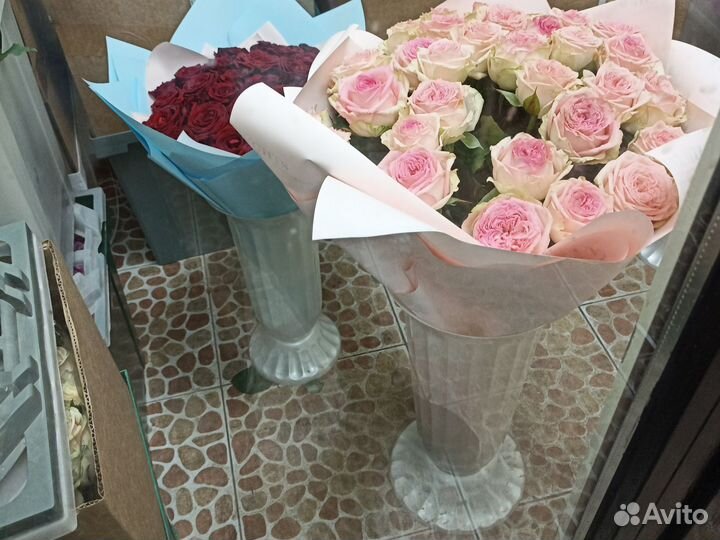 Цветы розы 101