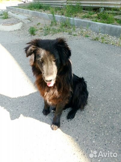 Мальчик 1 год