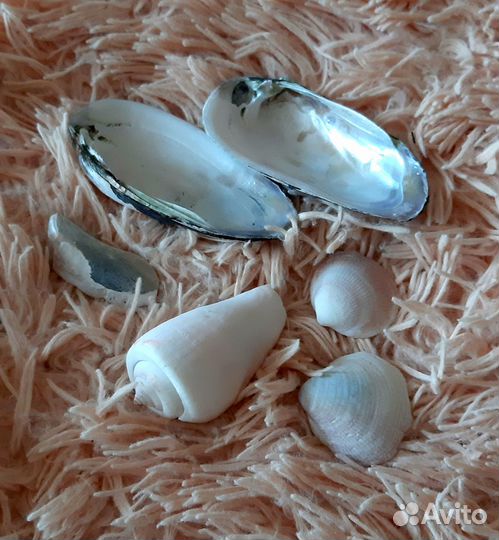 Украшения для аквариума