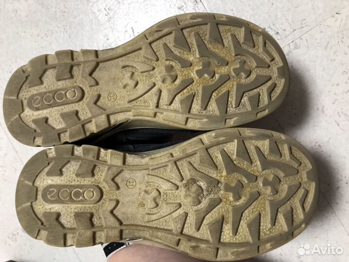 Кроссовки ecco biom 31 разм